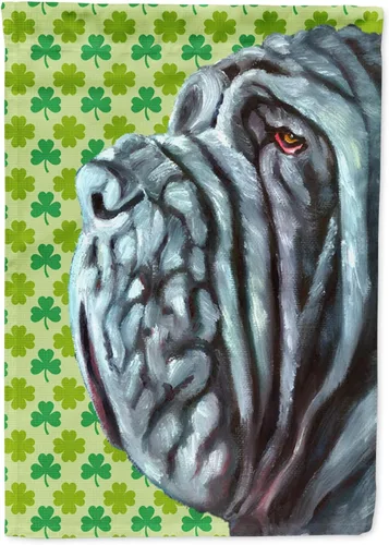 Vista 324 de Caroline's Treasures SS4442GF Affenpinscher Bandera de jardín con retrato de trébol del día de San Patricio para buzón, bandera decorativa