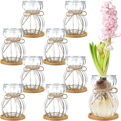 Vista 7 de LemonRoad 4 jarrones de vidrio para flores, jacinto forzado, aguacate, jarrón decorativo transparente con posavasos redondos de bambú para mujeres