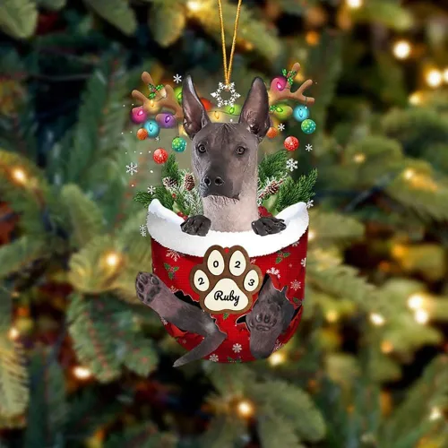 Vista 120 de Adornos personalizados de Pug cervatillo – Decoración personalizada para árbol de Navidad con patas de bolsillo de nieve