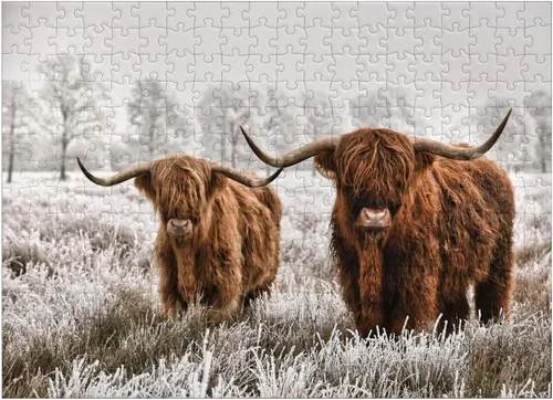 Vista 7 de MyPuzzle Hairy Scottish Highland Cattle in A Winter Landscape - Rompecabezas prémium de 100 piezas para adultos