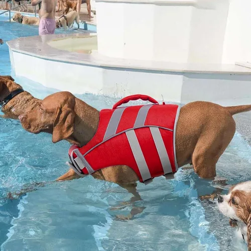 Vista 6 de Kuoser Chaleco salvavidas reflectante para perro, chaleco salvavidas para nadar y navegar Chalecos salvavidas ajustables para mascotas, traje