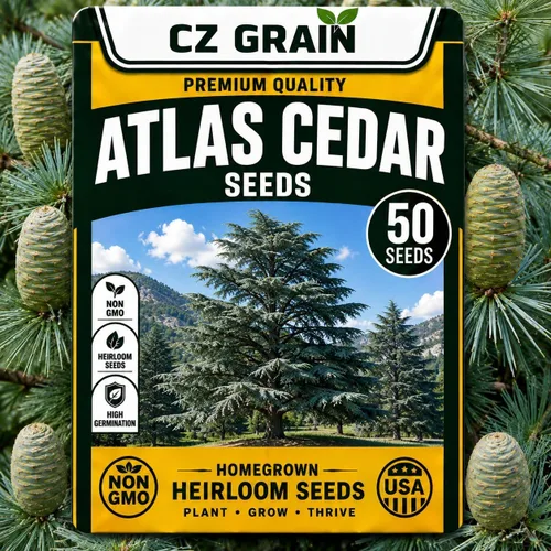 Vista 74 de CZ Grain Semillas para plantar, 40 pequeñas mezclas de calabaza