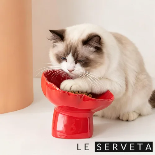 Vista 8 de Cuenco elevado de cerámica para mascotas, comedero lento elevado para gatos y perros, diseño decorativo para perritos de pie, base antideslizante