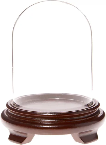 Vista 6 de Plymor Cúpula de cristal de 4 x 5.25 pulgadas (base con patas de chapa de madera negra)