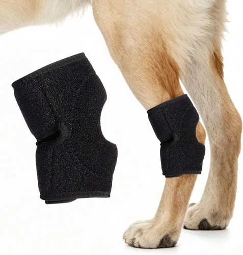 Vista 8 de Soporte de pierna de perro para articulación de corvejón, envoltura de soporte de compresión (XL)