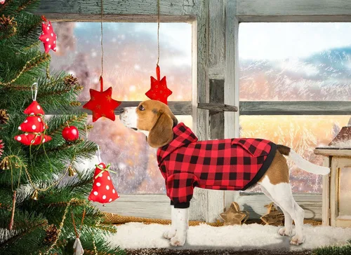 Vista 2 de Suéter para perro, ropa para mascotas a cuadros de búfalo rojo, cálido y suave, transpirable, acogedor con capucha para mascotas pequeñas, suéteres