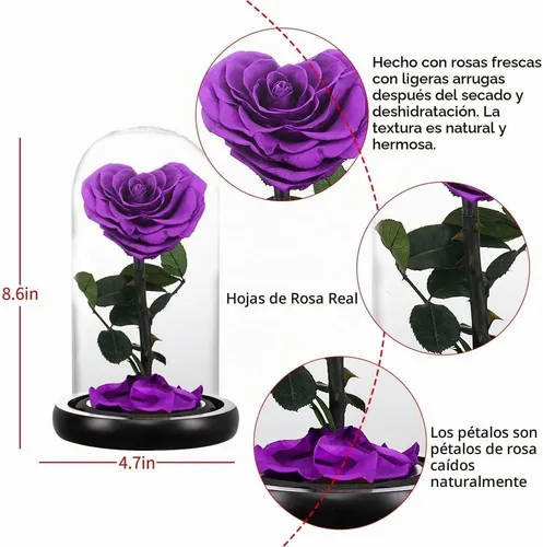 Vista 6 de Forever Preserved - Regalos de cumpleaños con forma de corazón real para mujeres, flor eterna en cristal, regalo para el día de San Valentín, día