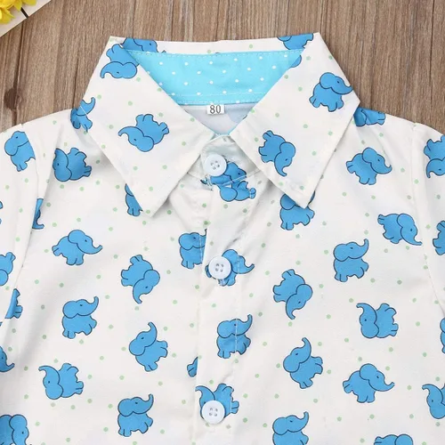 Vista 77 de Conjunto de camisa de manga corta con botones y pantalones cortos casuales con diseño de flamingo, para bebés y niños de 1 a 6 años, atuendos