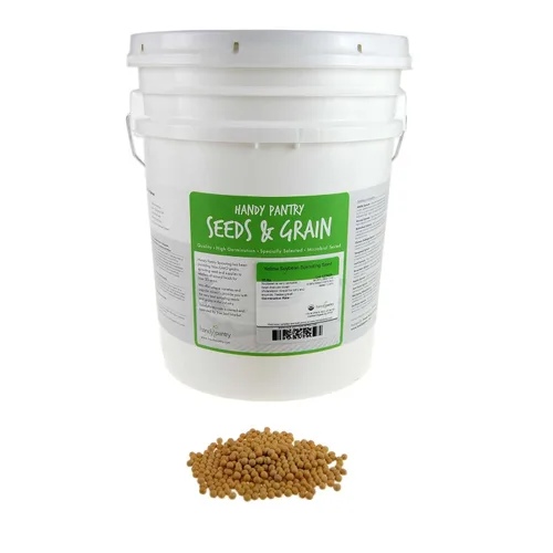 Vista 7 de Soja amarilla seca orgánica certificada, 1 libra, perfecta para usar en una máquina de fabricación de leche de soja para hacer leche de soja. Hace