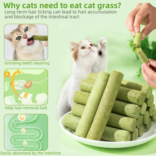 Vista 5 de Palitos de dentición de hierba natural para gatos, palillo masticable para eliminar bolas de pelo