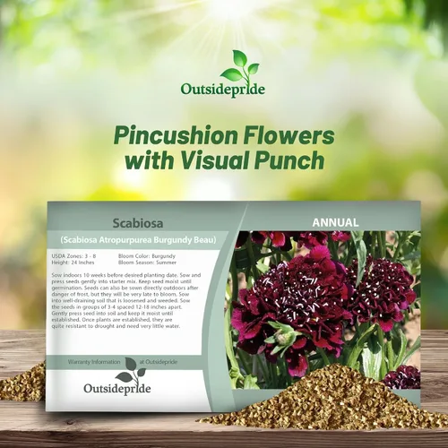 Vista 4 de Outsidepride Burgundy Beau Scabiosa Seeds – 500 semillas de flores perennes que atraen a los polinizadores, hábito de crecimiento vertical y limpio