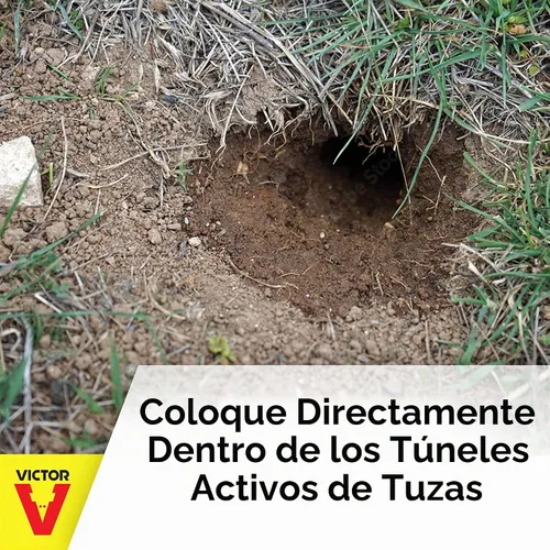 Vista 9 de Victor 0626 Black Box Gopher Trap - Trampas para Gopher - Trampa para Gopher