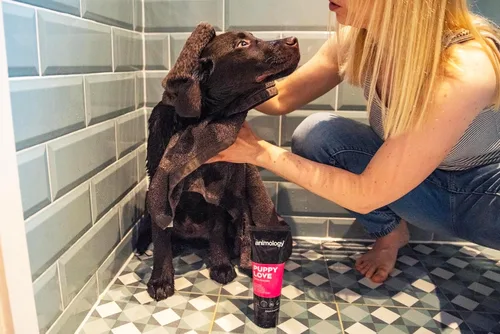Vista 7 de Animology Champú Perro Puppy Love Piel Suave 8.5 fl oz