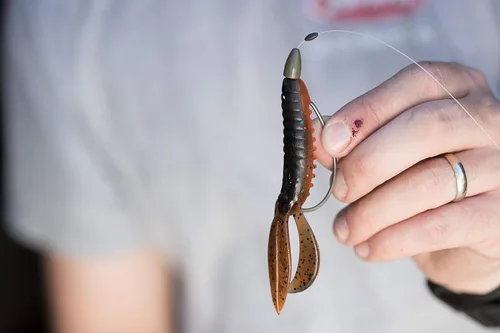 Vista 4 de Berkley PowerBait Pit Boss Fishing Soft Bait Bicho Bama