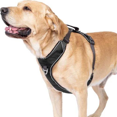 Vista 9 de Arnés para perro sin tirones con 2 clips para correa, chaleco reflectante, ajustable y acolchado, clips delanteros y traseros fáciles de caminar