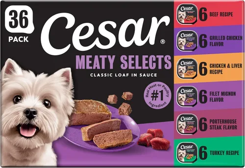 Vista 12 de Cesar - Comida húmeda gourmet para perros en paquete variado de 12 unidades (paquete de 2)