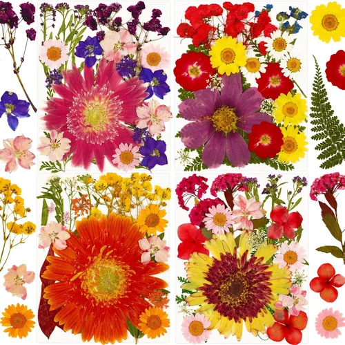 Vista 19 de Augshy Juego de flores secas prensadas reales con calcomanías transparentes de mariposa, calcomanías para álbumes de recortes, flores secas