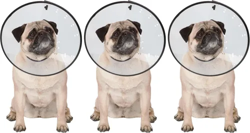 Vista 10 de Collares isabelinos — Collares de plástico duraderos que evitan que las mascotas laman las zonas heridas – XS, transparente