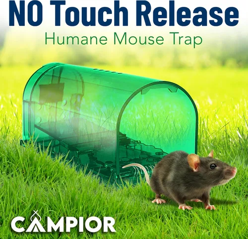 Vista 8 de Campior Trampa Humana para Ratones para Casa – Grande, Trampas para Ratones Sin Matar para Interiores para el Hogar, Trampa para Ratas y Ratones