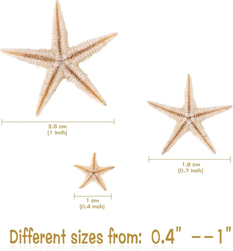 Vista 2 de 100 piezas pequeñas estrella de mar estrella de mar conchas de mar playa para manualidades 0.4"-1
