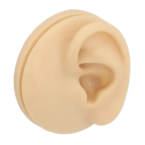 Vista 6 de Modelo de oído, silicona suave, modelo de práctica de acupuntura de oído izquierdo, modelo de simulación de exhibición de oído para enseñanza