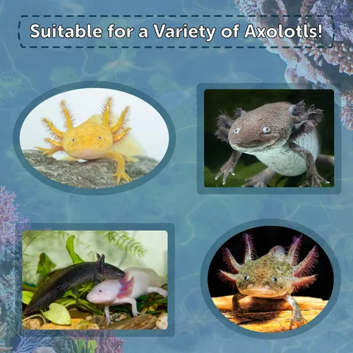 Vista 3 de Axolotl Food, pellets suaves y húmedos de 1/4 de pulgada, pellets de salmón de Rangen para ajolote de tamaño adulto. También camarones, caracoles