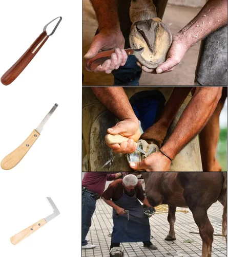 Vista 3 de Kit de herramientas de herrador de 64 piezas Recortadoras de pezuñas de cabra, para caballos, para ovejas, para cerdos