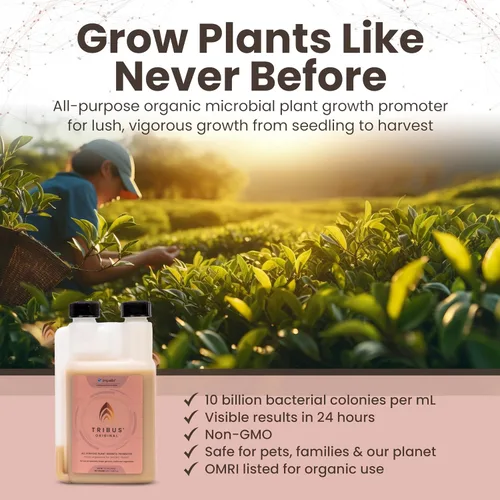 Vista 8 de Tribus - Inoculante microbiano orgánico Potenciador de raíces para plantas, aumenta el rendimiento de las plantas, el crecimiento de las raíces