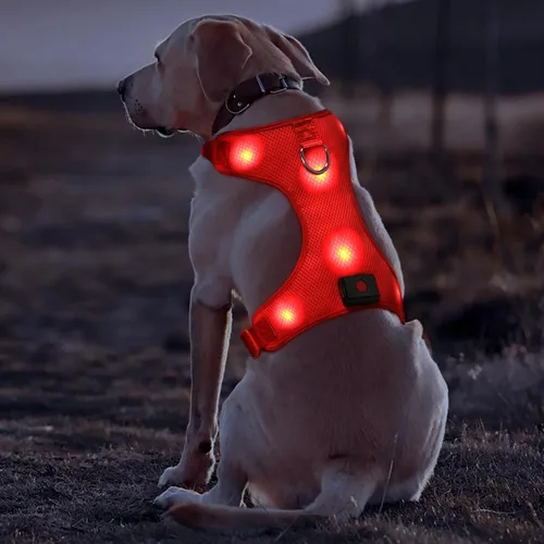 Vista 2 de Domi - Arnés de perro con luz, recargable por USB, chaleco reflectante para perro, sin tirar, con un cómodo cha acolchado para perros pequeños