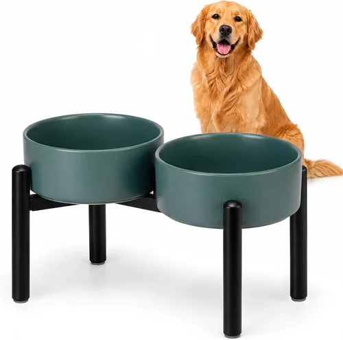 Vista 16 de Juego de cuencos elevados de cerámica para perros con soporte, 2 tazas de Negro