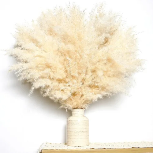 Vista 2 de 10 piezas de decoración de hierba de las pampas beige, hierba de las pampas secas naturalmente, colas de conejo, flores secas y eucalipto seco.