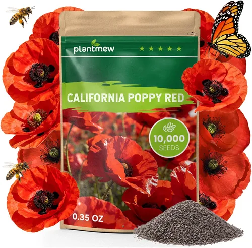 Vista 9 de Semillas de amapola naranja de California para plantar, paquete a granel de 0.35 onzas, más de 10,000 semillas nativas, flor del estado de California