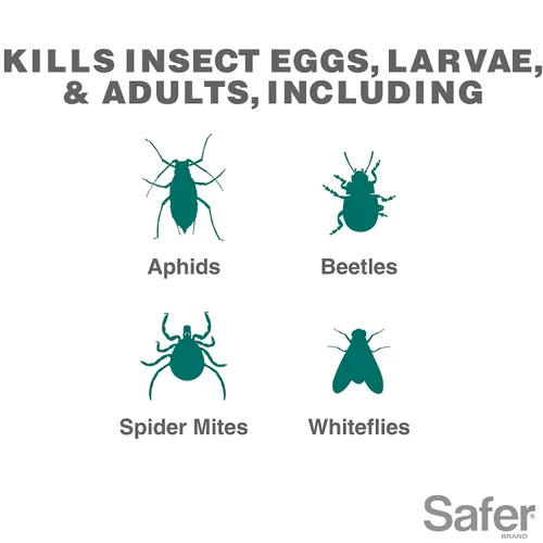 Vista 4 de Safer Brand Neem Concentrado de aceite – insecticida, acicida y fungicida para plantas – Mata insectos y ácaros, controla enfermedades fúngicas