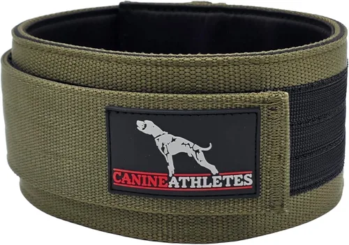 Vista 8 de CANINE ATHLETES Collar para perro de trabajo con peso Elite-HD de 3 pulgadas (3 libras, negro)