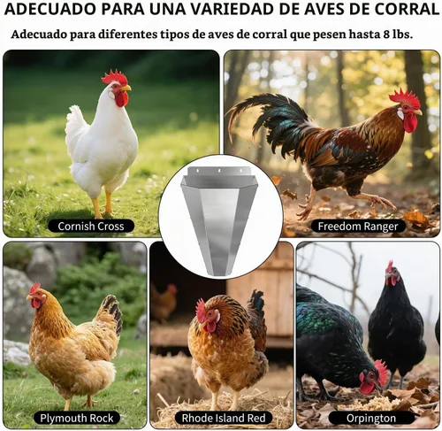 Vista 6 de Cono de pollo grande para carnicería, conos de acero inoxidable