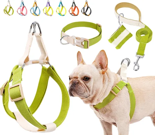 Vista 11 de Juego de arnés y correa para perro sin tirones, collar de perro, arnés halter para perro con soporte para bolsa de excrementos, correas ajustables