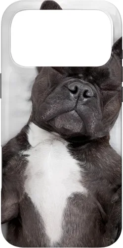 Vista 22 de Carcasa gráfica de Bulldog Francés para iPhone 17