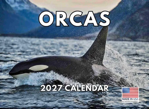 Vista 30 de Calendario de cocodrilo 2025 mensual de pared de 12 meses