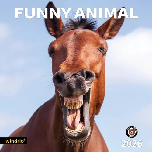 Vista 8 de Calendario de pared 2026, Calendario divertido 2026, noviembre de 2025 - diciembre de 2026, calendario de pared con memes divertidos de animales, 12