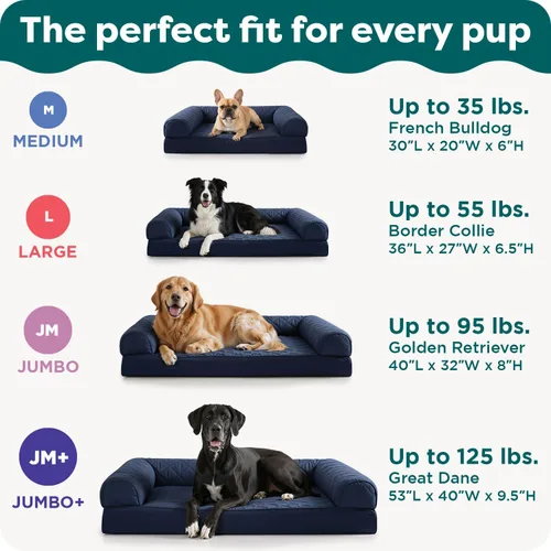 Vista 6 de Furhaven - Cama ortopédica para perros, estilo sofá, acolchada, con funda extraíble y lavable, color gris plateado, tamaño jumbo plus (XXL)