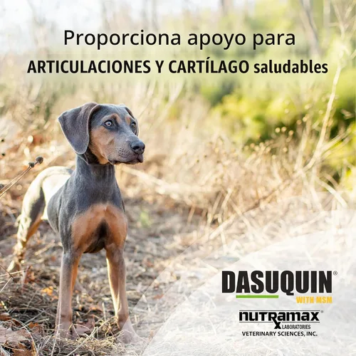 Vista 2 de Dasuquin para perros pequeños y medianos, 84