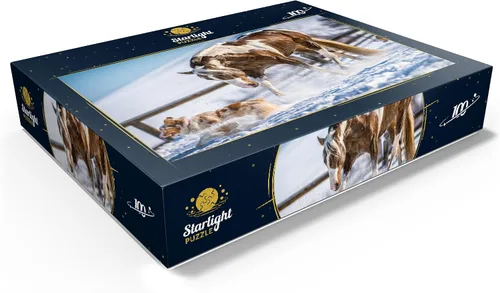 Vista 3 de MyPuzzle American Paint Horse On Snow - Rompecabezas de 100 piezas para adultos