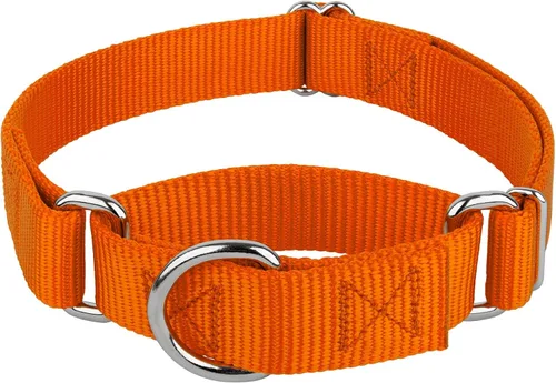 Vista 15 de Country Brook Petz - Collar Martingale para perro - Collar de entrenamiento resistente sin hebilla - Collar para perro de servicio para todas