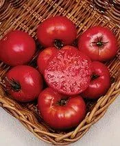 Vista 2 de Levantador de hipotecas de tomate, gran herencia vegetal de jardín de Seed Kingdom a granel de 1 onza