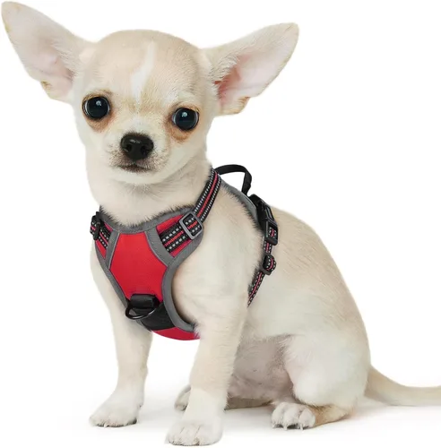 Vista 61 de Eagloo Arnés para perro pequeño, sin tirones, chaleco de servicio con tiras reflectantes y asa de control, ajustable y cómodo para caminar, arnés