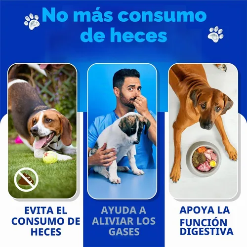 Vista 2 de Masticables sin caca para perros, 120 golosinas, masticables avanzados