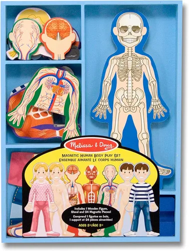 Vista 6 de Set de juego magnético de anatomía del cuerpo humano, con 24 piezas y bandeja de almacenamiento, de la marca Melissa & Doug