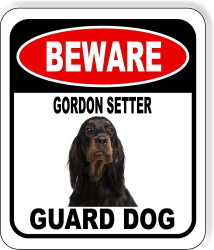 Vista 101 de BEWARE BASSETT HOUND GUARD DOG - Letrero compuesto de aluminio para exteriores, 8.5 x 10 pulgadas CUIDADO BASSETT HOUND GUARD PERRO