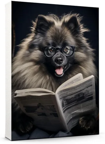 Vista 9 de Thuan Affenpinscher - Póster de lienzo con tus fotos, arte de pared para decoración del hogar, regalo conmemorativo para amantes de las mascotas