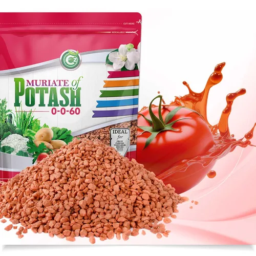 Vista 2 de Muriate de potasa 0-0-60 fertilizante fabricado en EE. UU. - MOP alimento potásico para plantas y jardines de flores – ¡Promueve grandes flores!